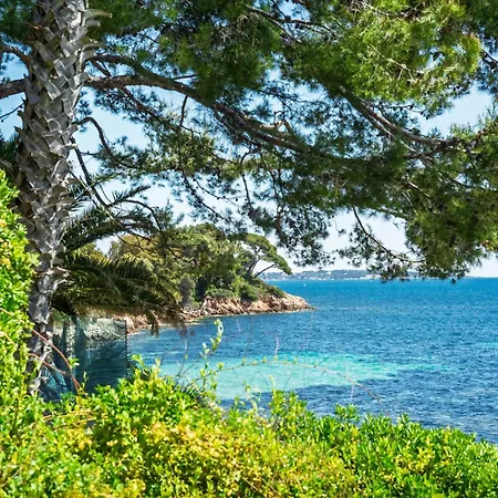 Adriana By Terry's Homes Waterfront Seaview * Cannes